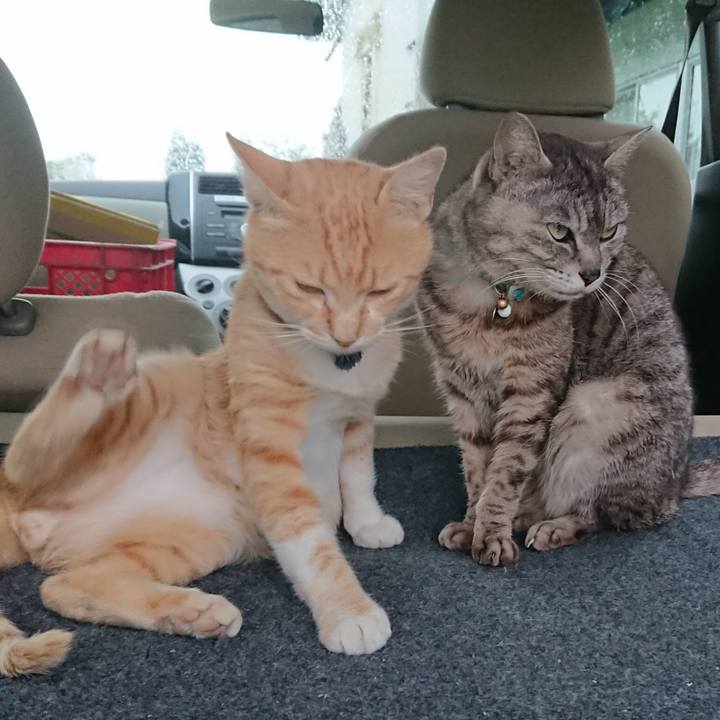 75510d16 b1d4 4331 be05 2d24bb66f2d7 1561283088386