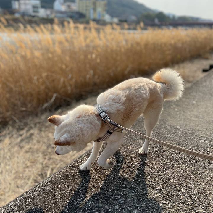 75511367 69ce 4d37 ab9a 65aeaa010ff7 1646841335875