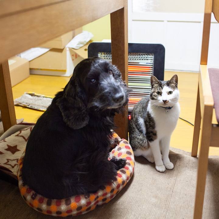 7551365c 8550 4f76 a830 23522289d2fc 1548331805882