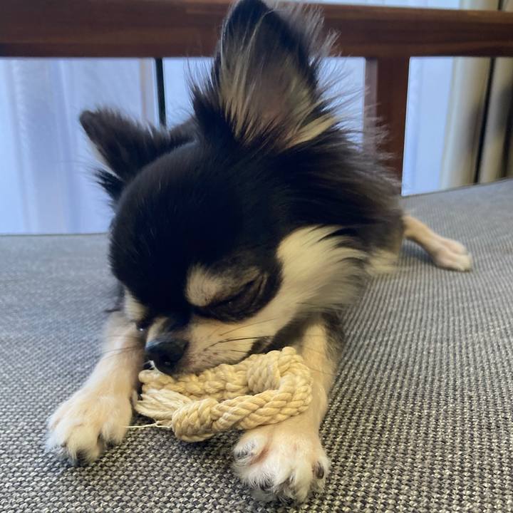 75516374 5e2d 45ea 9232 52866b85613d 1632373971997