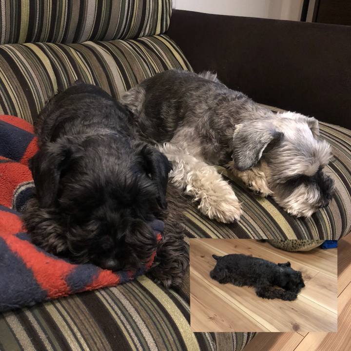 7551729f c914 496c 80a7 4d7a5c8e3ea4 1516196720123