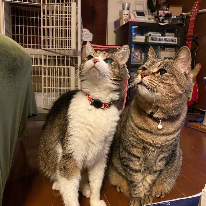 75517bd7 f8b2 4720 a0a7 e2ded69e18a5 1608376239166