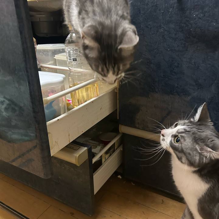 75517f7e d0a1 4aa2 9103 3897519b2772 1775139742578