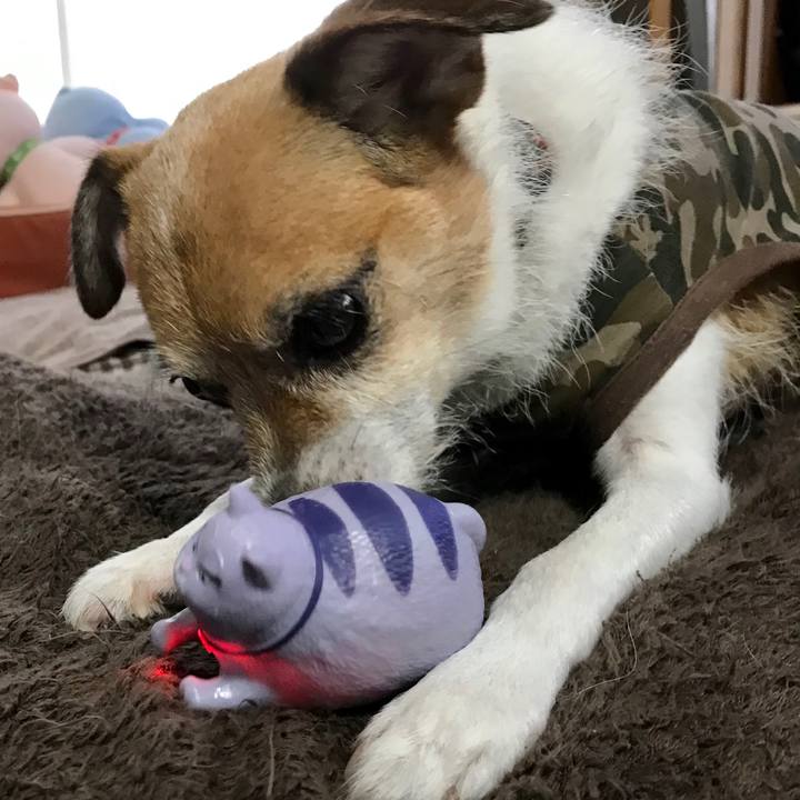 7551c337 5090 4fee 9bea d2e432f6fc92 1565938669512