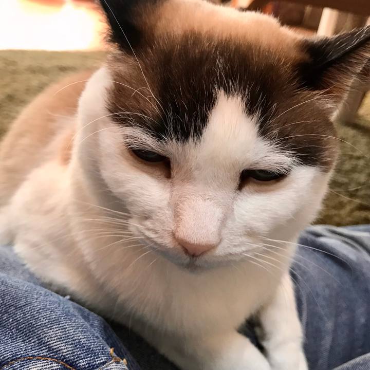 7551d024 b632 4bc1 835f e3b77f1c09d5 1581899579744