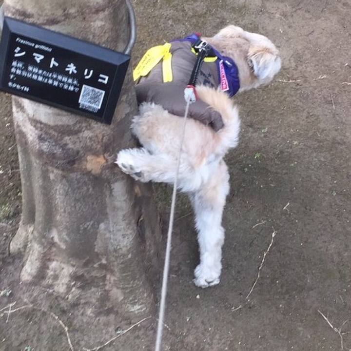 7551d1d8 85a9 4278 bb39 59dd2173dbb1 1548932317990