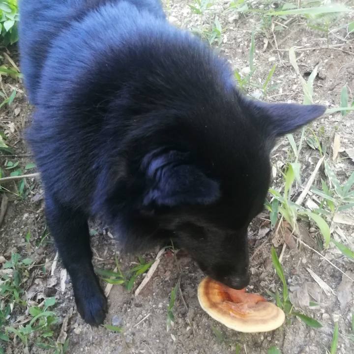 7551dca0 315b 453c a99f 7409c2a4c5d7 1627247093437