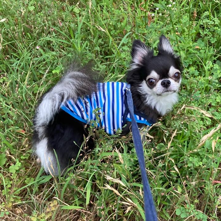 75521c8e f2b6 4557 837b 4b340e131b8c 1689438519313