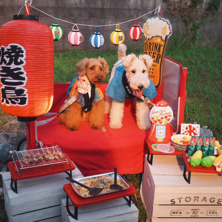 7552475d e404 46eb abb5 973db6d679ad 1565957689155