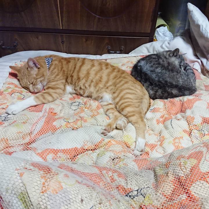 7552644d f2f3 4087 9315 07ddca0da8da 1570019878097