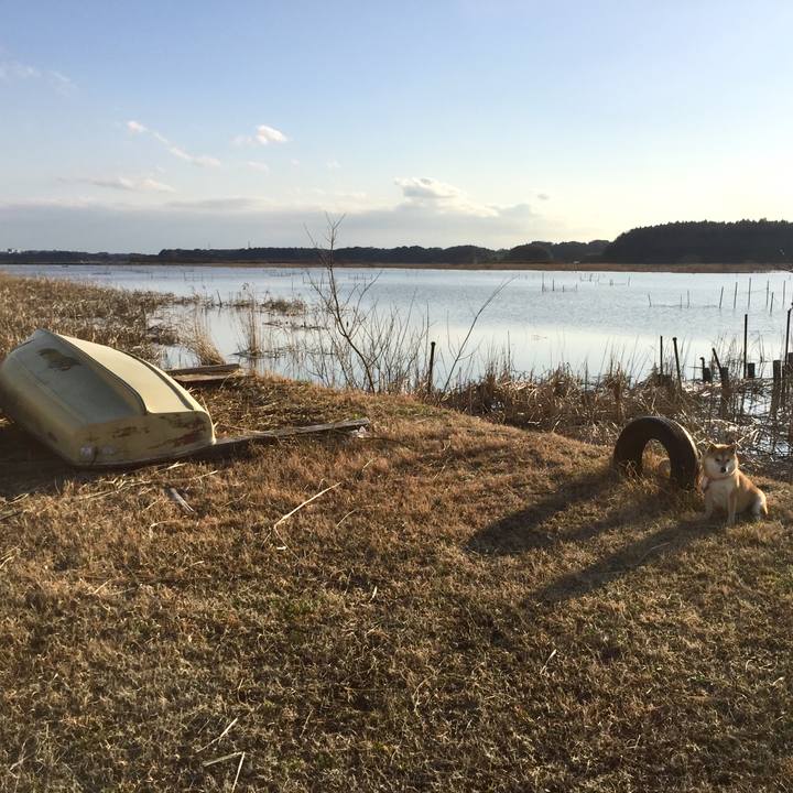 75527ca6 a00f 48b7 8bba 1e0c31a4cfd6 1520854661688