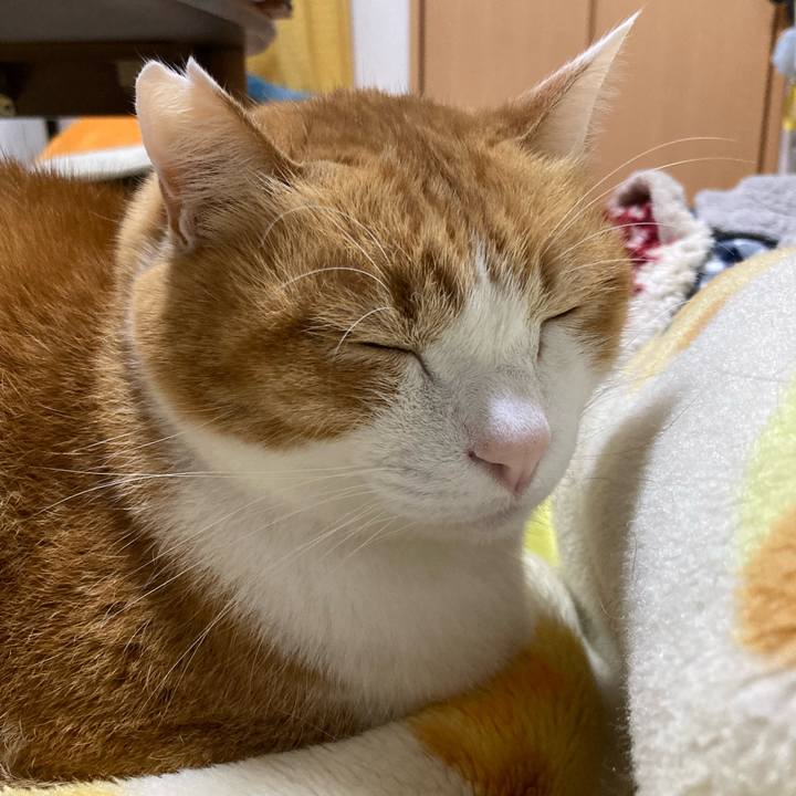 7552901c dc0a 4f2d 8284 a314fb8af3c2 1769174299084