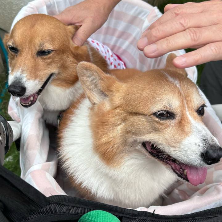 75532654 d094 4f1a 82e9 34958afdec20 1752284595531