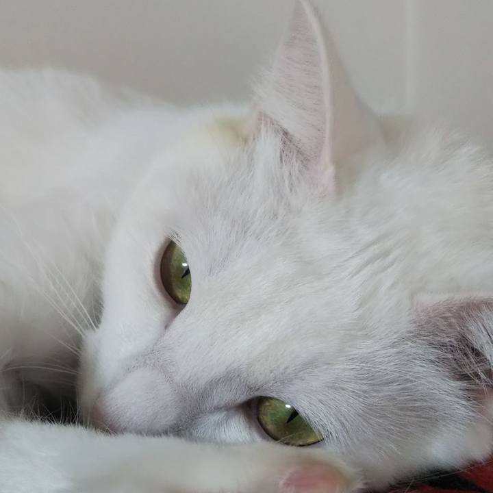 75534aea e3c3 4c24 9908 1794d3a6e38b 1637810850882