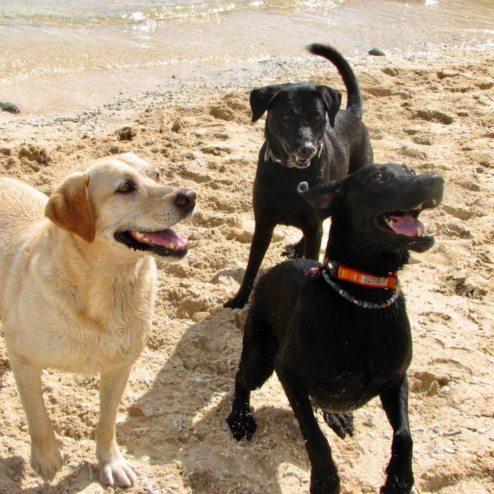 7553a94c 5dec 41c1 8d81 3d2be4fd5ea3 1558502249102