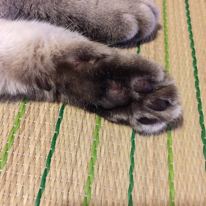 7553c966 9a9c 4d3f b29a 447a54631151 1532774273660