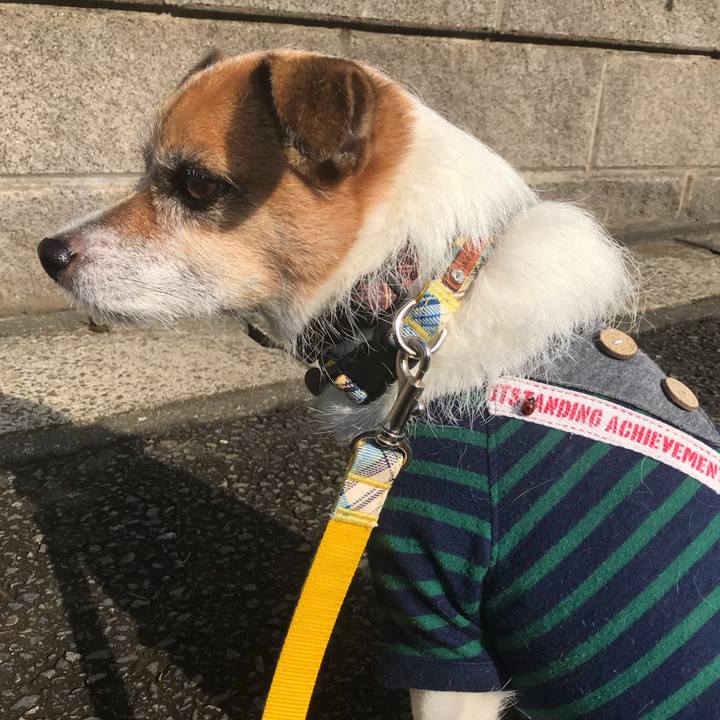 7554191c 524f 4f57 a995 549602c1af06 1541379611675