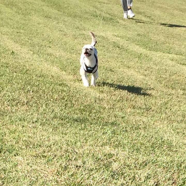 7554433b d2f3 42d0 91ca 57b1a4b1f6dd 1540797086495