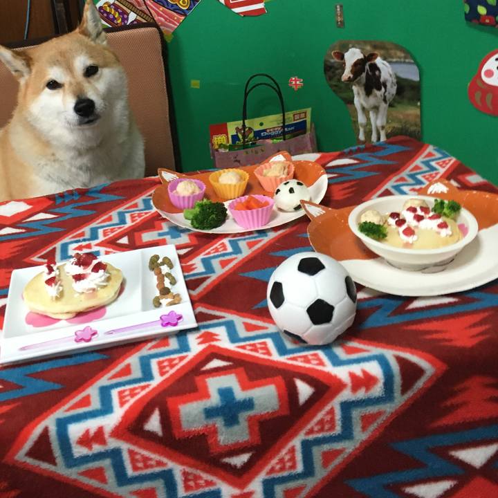 755466fd 9be4 4656 8e9d 0a781461b741 1611299383947