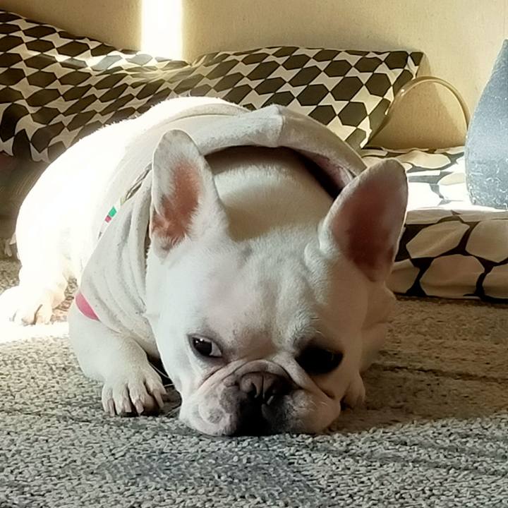 75549108 269b 4eb4 9953 1bca025d2129 1642206815050