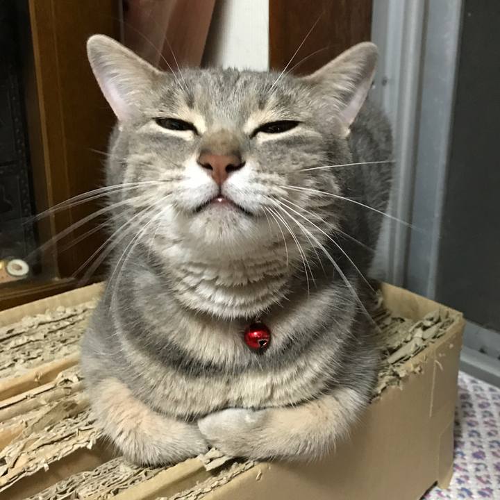 7554b3a1 ceaf 4e8a 84e7 93d06d6c8673 1564238231496