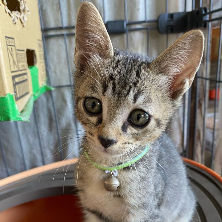 7554cd5e b453 411f b7f1 6aabe478dfc7 1720771078051