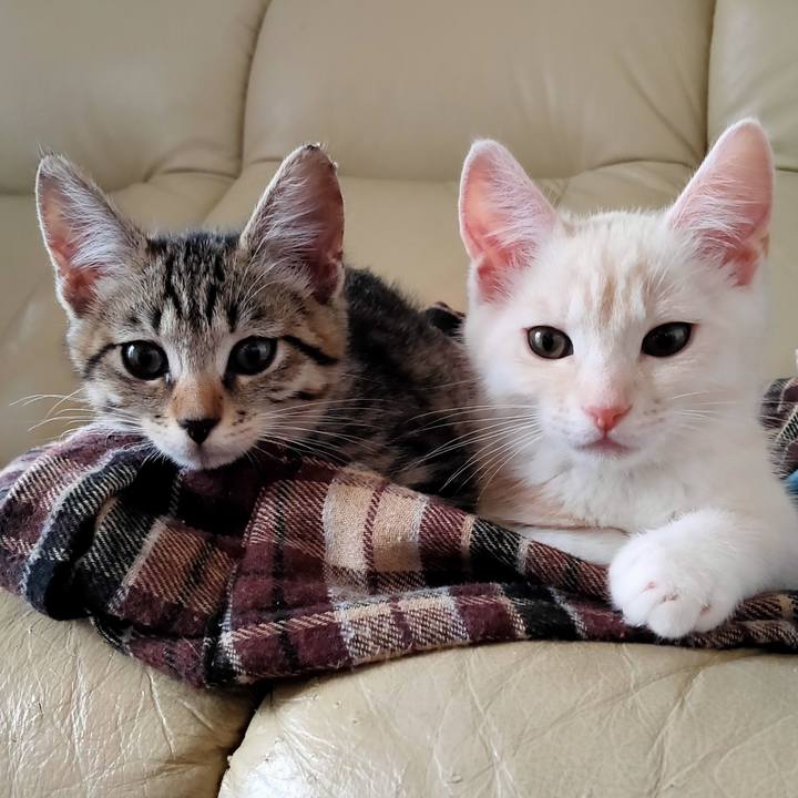 7554f44b 0a4b 4482 be62 162feae54ca8 1625360524438