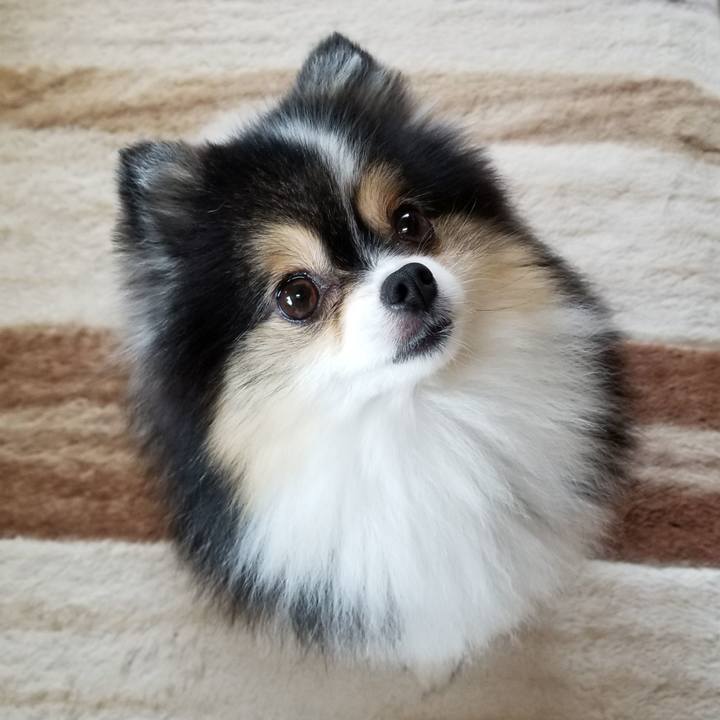 755500d6 a303 492f ae68 104d7243c796 1564441809824