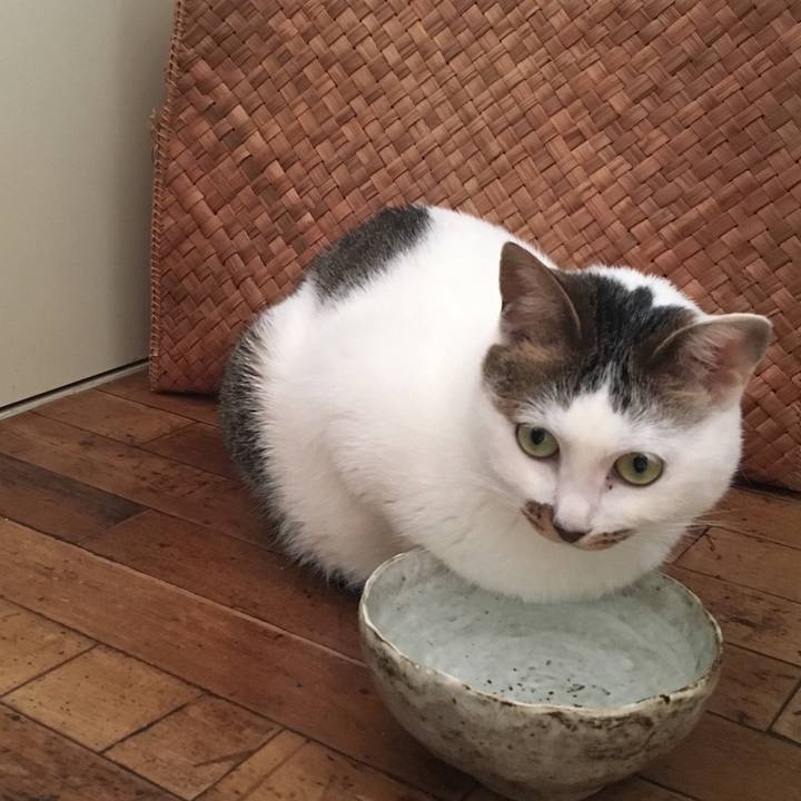 75551ca6 2e6d 4ae5 a21c 9225c294afbf 1546997815752