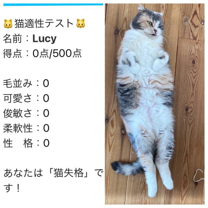 755547d6 5e48 4c32 b7ef 66a82b8d45aa 1614237064295