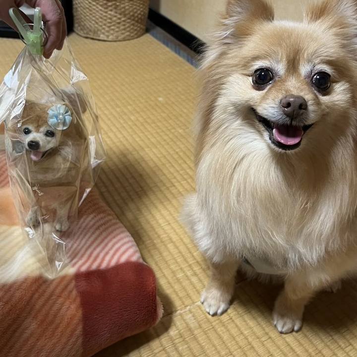 755577a3 e604 4874 8ec3 97c2cdae6db8 1740691436534