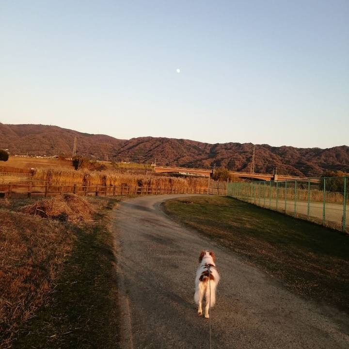 75559a27 4651 42ed adb8 34492630b729 1575880266880