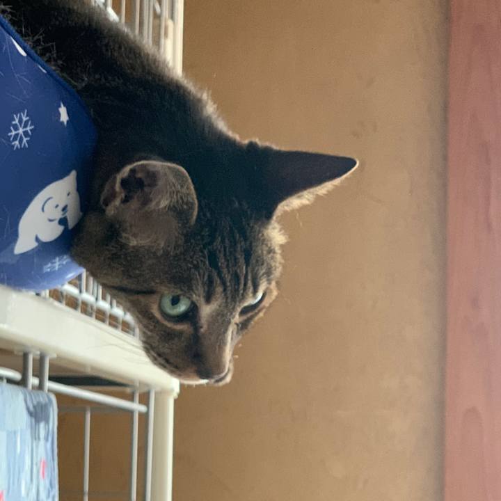 75562856 8cee 4995 8640 83c7b9360401 1594949760083