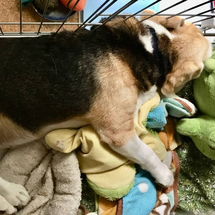 7556376e 668e 4c73 b60d d924318f7561 1758524776441