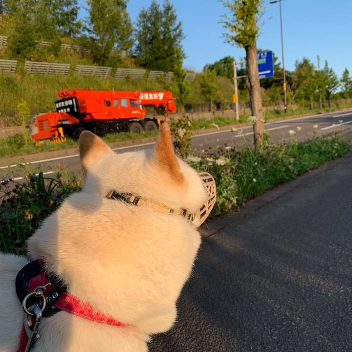 75565740 b549 4ae9 b35c 31540798d37a 1567374274589