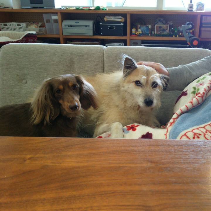 75565c58 ba84 4f71 b087 6e051d7ee40c 1514784434481