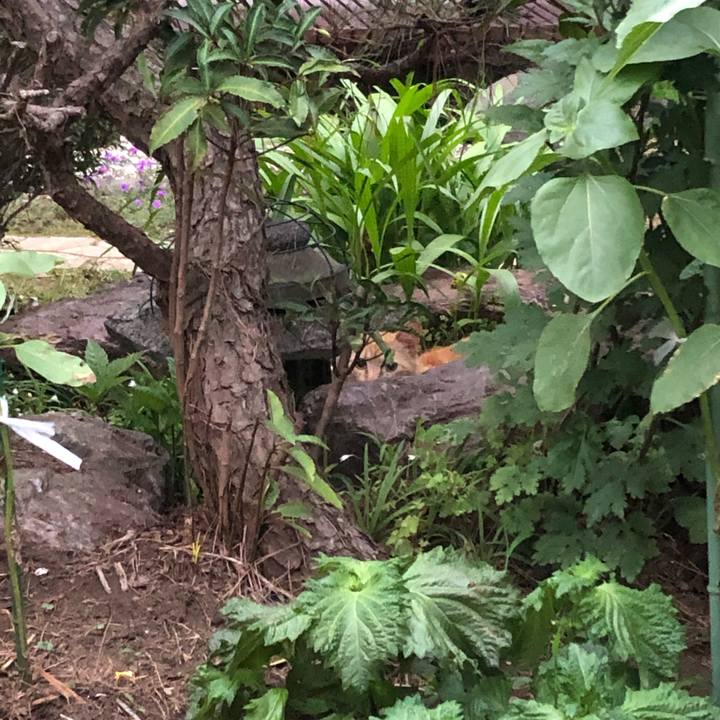 75569bcd bd33 45f4 8bdf 5b18c1d8d9fc 1591490333174