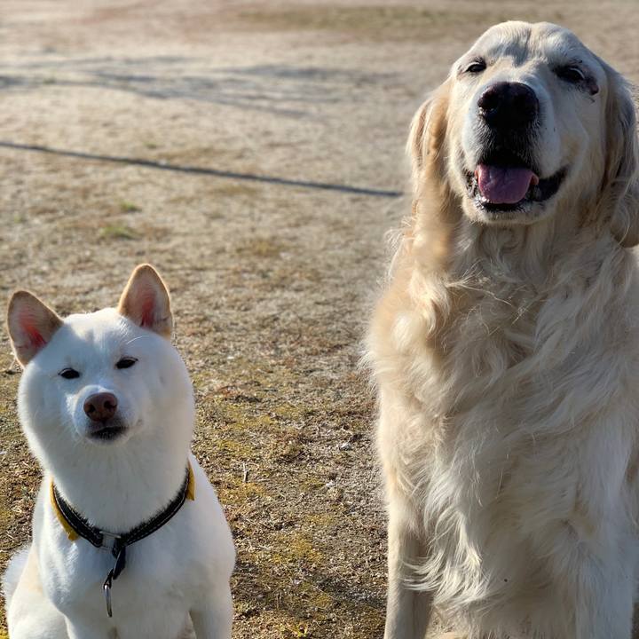 7556a763 f86c 4473 babb 01cbf7594e81 1654499662053