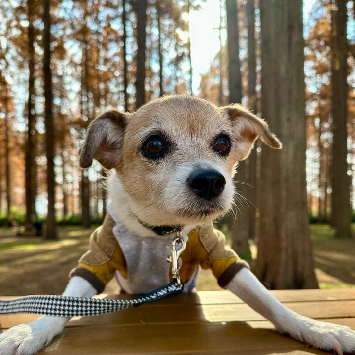 7556d14b 7ce6 42c8 9b24 87d9feeacb3f 1670736008967