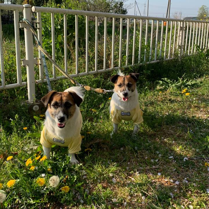 75573100 1f90 44d8 ad0b d8ad6fe59e5b 1586245742825