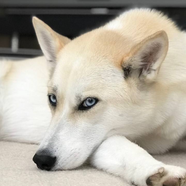 75573fac 3227 47d0 9ce5 03f6250a6ed2 1530563130289