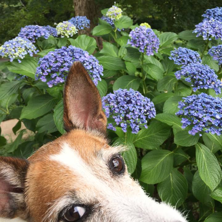 75577709 4197 4f4c aa17 5fd1bf562f82 1625010349315