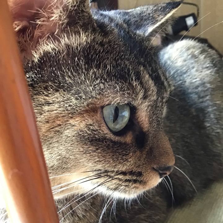 7557811e 9ffd 4148 aa15 e9744bb57fe7 1663983012631