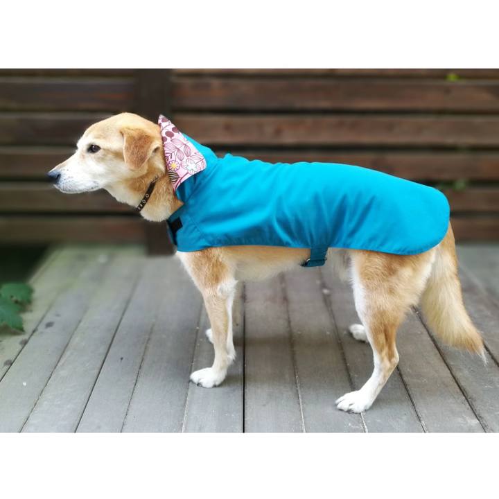 7557b0c6 e5d8 450a a6c7 852dac6c39e9 1527047224906