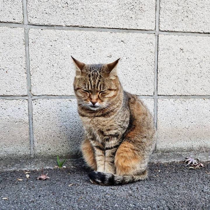 7557bd44 1327 483b 9cbe dc46e5c2882f 1702817418638