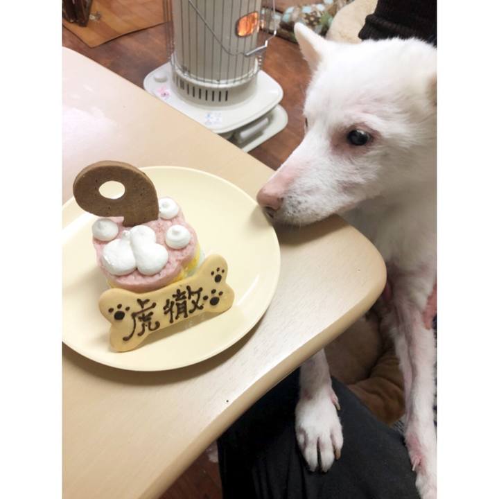 7557c77d 365f 4d92 bed7 a65741ac9364 1612788263171