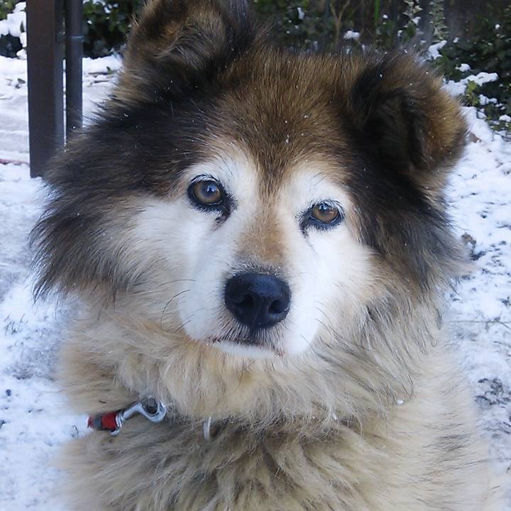 7557d0d2 29af 491b 901c 13f768cac4ed 1565499482685