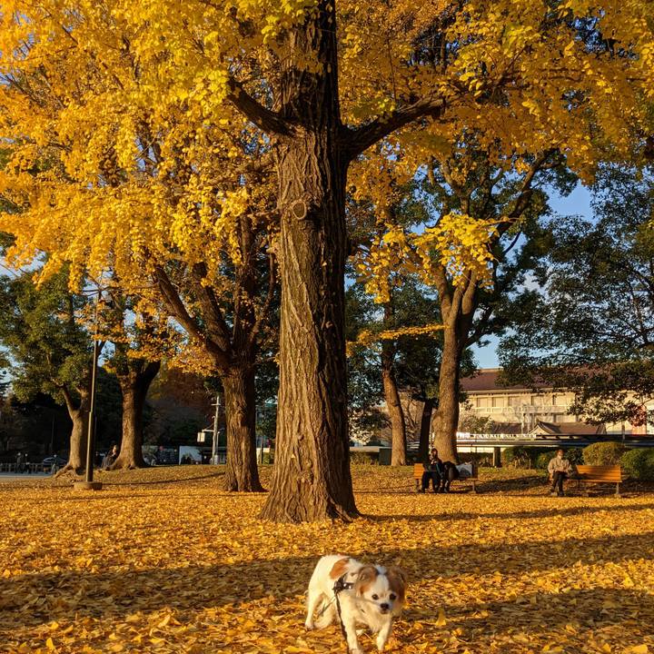 7558062a 9483 4acb 8388 288787377676 1670572034719