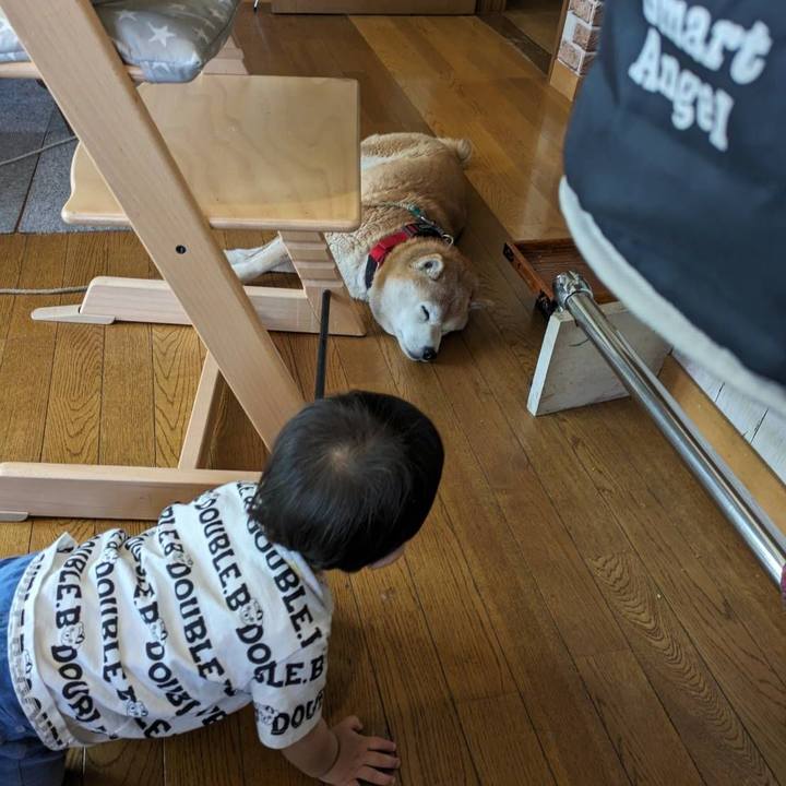 75580bb9 5704 4b1e 88ce 905752d0f1ee 1714737378524