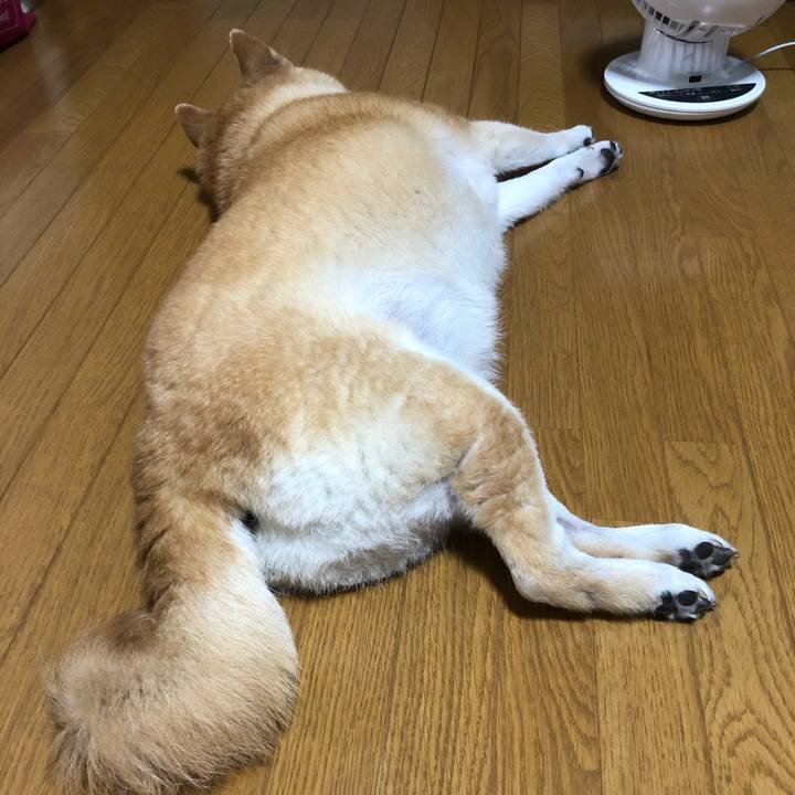 755831fb 2d30 43be bc5d 3de37c86fccd 1594987452294